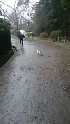 熊野若王子神社の周辺