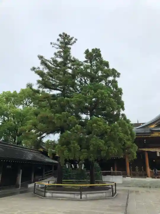 寒川神社(神奈川県)