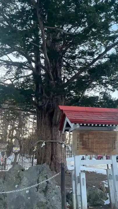 豊栄神社(北海道)