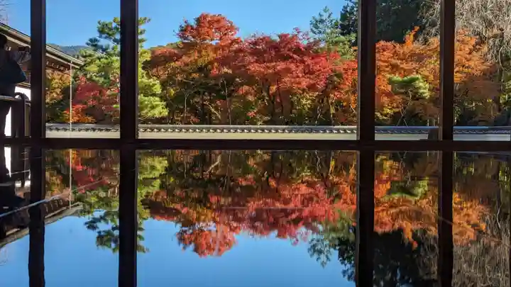 宝徳寺(群馬県)