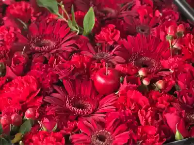 帯廣神社の手水舎