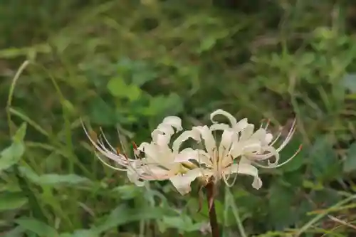 国宝 大法寺(長野県)
