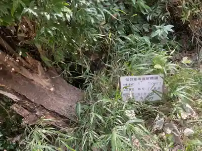 八龍社(愛知県)