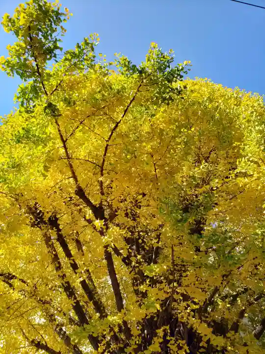 稼穡稲荷社(東京都)