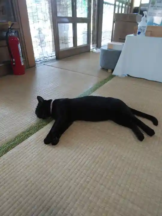 高司神社〜むすびの神の鎮まる社〜の動物
