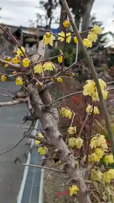 玉田神社(京都府)