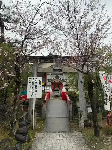遍照院の{uncategorized: "未分類", other: "その他", undefined: "問題あり", building: "その他建物", grave: "お墓", sacred_gate: "鳥居", guardian: "狛犬", statue: "像", buddha: "仏像", history: "歴史", nature: "自然", garden: "庭園", animal: "動物", pagoda: "塔", temizu: "手水舎", mountain_gate: "山門・神門", sanctuary: "本殿・本堂", subordinate: "末社・摂社", art: "芸術", scenery: "景色", jizo: "地蔵", ema: "絵馬", goshuin: "御朱印", omikuji: "おみくじ", items: "授与品その他", amulet: "お守り", goshuincho: "御朱印帳", eats: "食事", festival: "お祭り", votive_dance: "神楽", shichigosan: "七五三参", wedding: "結婚式", experience: "体験その他", initially: "初詣", around: "周辺", anti_infection: "感染症対策"}