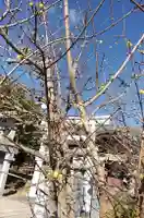 比佐豆知神社(三重県)