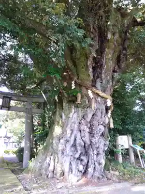 阿志都彌神社・行過天満宮(滋賀県)