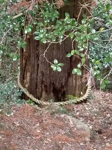 一之宮貫前神社(群馬県)