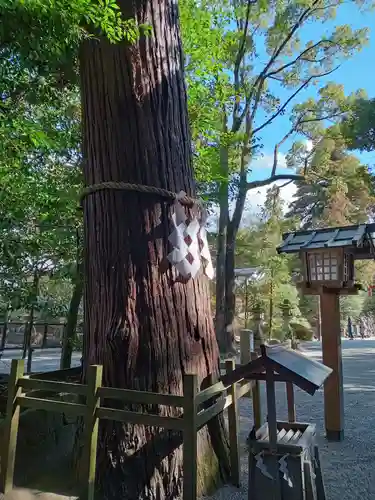 石上神宮(奈良県)