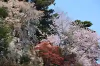 三春大神宮の景色