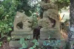 六所神社の狛犬