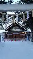 新琴似神社の本殿・本堂