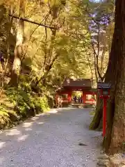 貴船神社(京都府)