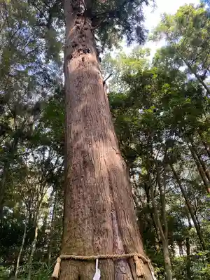 土佐神社(高知県)