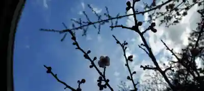 恵林寺(山梨県)