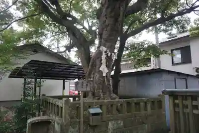 白潟天満宮のその他建物