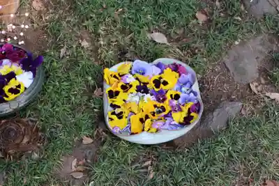 馬場氷川神社(埼玉県)