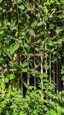 梨木神社(京都府)