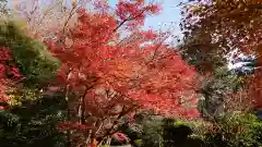 浄妙寺(神奈川県)