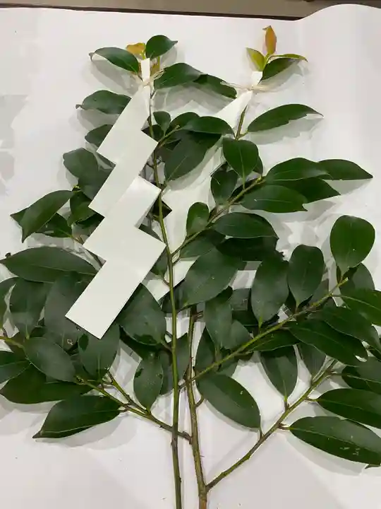 和泉國一之宮 大鳥大社(大阪府)