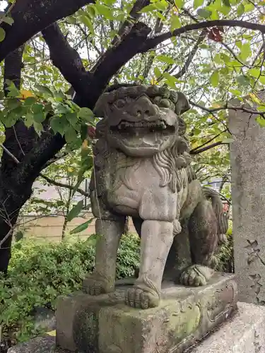 安井金比羅宮の狛犬