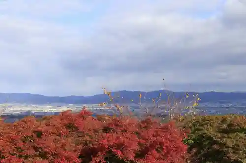 善峯寺(京都府)
