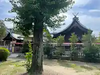 大神神社(花池)の本殿・本堂