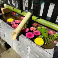 元町厳島神社(神奈川県)