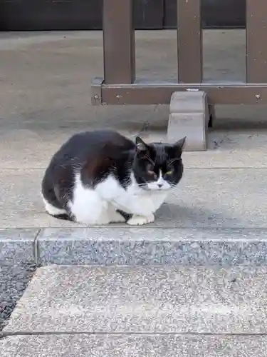 白金氷川神社(東京都)
