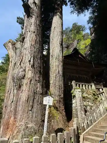 榛名神社の{uncategorized: "未分類", other: "その他", undefined: "問題あり", building: "その他建物", grave: "お墓", sacred_gate: "鳥居", guardian: "狛犬", statue: "像", buddha: "仏像", history: "歴史", nature: "自然", garden: "庭園", animal: "動物", pagoda: "塔", temizu: "手水舎", mountain_gate: "山門・神門", sanctuary: "本殿・本堂", subordinate: "末社・摂社", art: "芸術", scenery: "景色", jizo: "地蔵", ema: "絵馬", goshuin: "御朱印", omikuji: "おみくじ", items: "授与品その他", amulet: "お守り", goshuincho: "御朱印帳", eats: "食事", festival: "お祭り", votive_dance: "神楽", shichigosan: "七五三参", wedding: "結婚式", experience: "体験その他", initially: "初詣", around: "周辺", anti_infection: "感染症対策"}