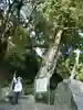 大興寺の自然