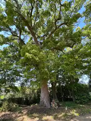 大宮八幡神社(香川県)
