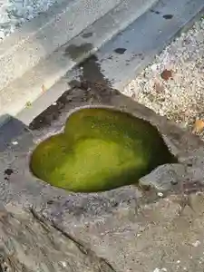 牛嶋天満宮の手水舎(2023年09月05日(火) 12時46分07秒投稿)