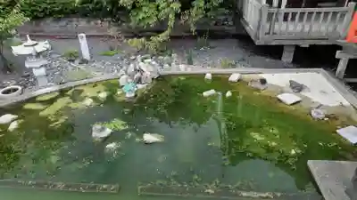 六孫王神社(京都府)
