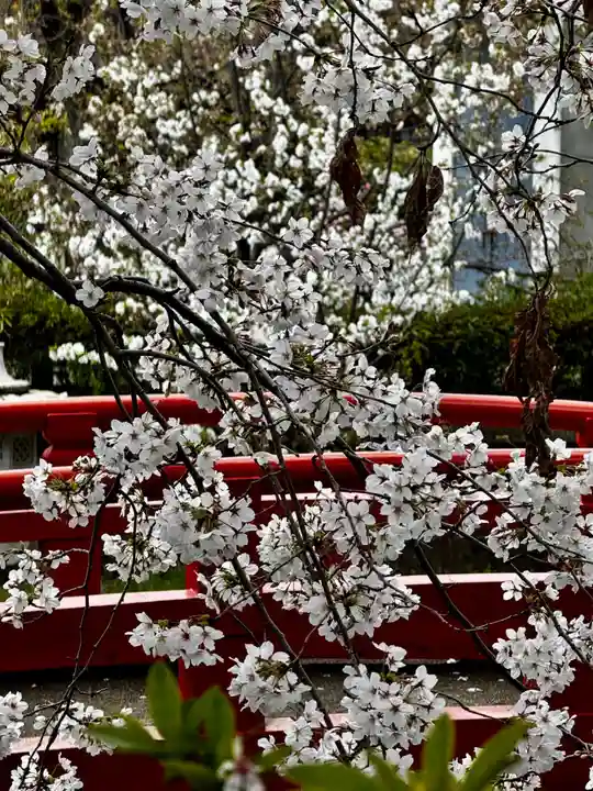 六孫王神社(京都府)