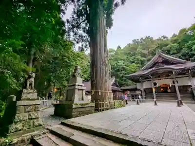 戸隠神社中社(長野県)