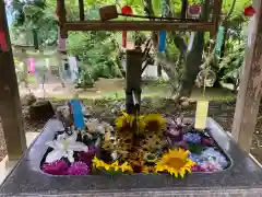 坂本八幡神社の手水