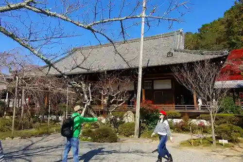 毘沙門堂門跡のその他建物