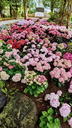 新倉富士浅間神社の周辺