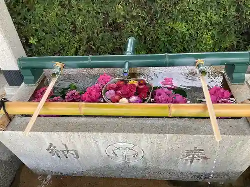 伊和志津神社(兵庫県)