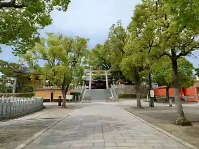百舌鳥八幡宮(大阪府)