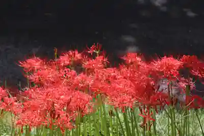 国宝 大法寺(長野県)