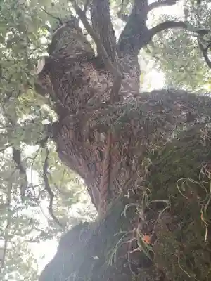 糸碕神社(広島県)