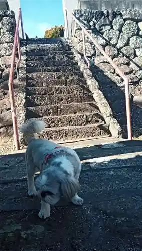法界寺(山梨県)