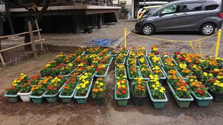 高円寺氷川神社の庭園