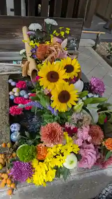 勝林寺(京都府)