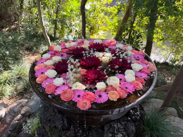 武蔵一宮氷川神社の{uncategorized: "未分類", other: "その他", undefined: "問題あり", building: "その他建物", grave: "お墓", sacred_gate: "鳥居", guardian: "狛犬", statue: "像", buddha: "仏像", history: "歴史", nature: "自然", garden: "庭園", animal: "動物", pagoda: "塔", temizu: "手水舎", mountain_gate: "山門・神門", sanctuary: "本殿・本堂", subordinate: "末社・摂社", art: "芸術", scenery: "景色", jizo: "地蔵", ema: "絵馬", goshuin: "御朱印", omikuji: "おみくじ", items: "授与品その他", amulet: "お守り", goshuincho: "御朱印帳", eats: "食事", festival: "お祭り", votive_dance: "神楽", shichigosan: "七五三参", wedding: "結婚式", experience: "体験その他", initially: "初詣", around: "周辺", anti_infection: "感染症対策"}