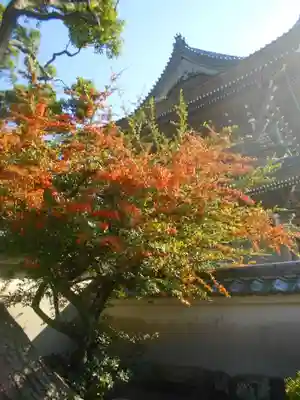 光明寺(神奈川県)